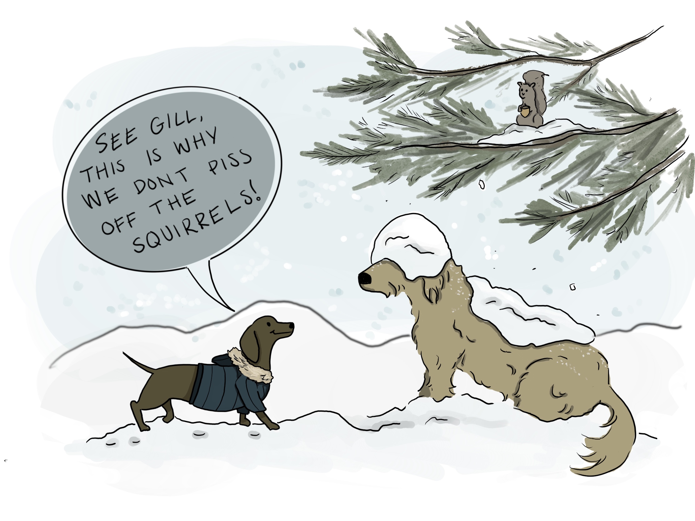 Gilly and Leo enjoy the snow!